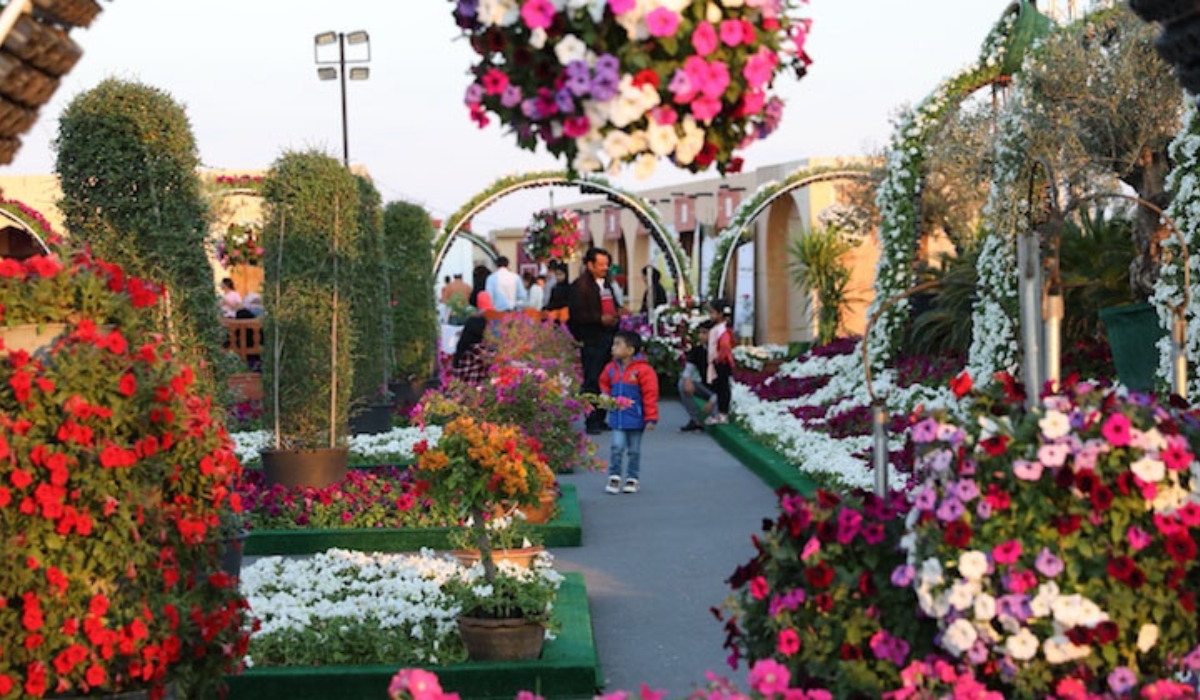 Mahaseel Festival to begin on Thursday